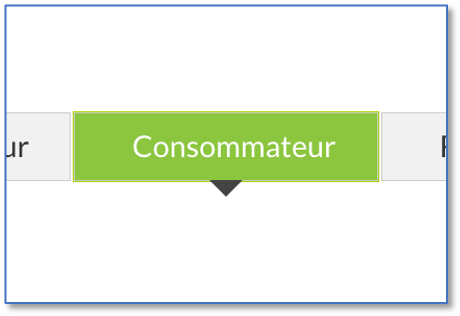 Onglet Consommateur de la section paramètres du tableau de bord de Team2Book.